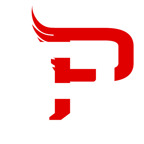 PP