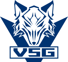 VSG-2